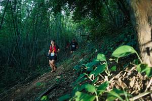 BIB: 
                            <button type="button" onclick="openModal(28124637)" class="btn btn-primary btn-sm float-right btn-popup" data-toggle="modal" data-target=".modal-high-quality">
                        <i class="fas fa-shopping-cart"></i> Add to Cart
                    </button>
                                            <button type="button" onclick="isThisMe(28124637, true)" class="btn btn-success btn-sm float-right btn-popup btn-isme hidden" data-toggle="tooltip" data-placement="bottom" title="นี่คือรูปของคุณใช่ไหม คลิกที่นี่เพื่อเอาเข้าอัลบั้ม">
                        <i class="fas fa-plus"></i> Add to album
                    </button>
                    <button type="button" onclick="isThisMe(28124637, false)" class="btn btn-warning btn-sm float-right btn-popup btn-isnotme hidden">
                        <i class="fas fa-ban"></i> Remove from album
                    </button>